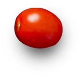 burger-shape