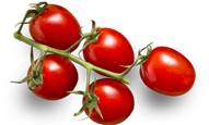 shape-img